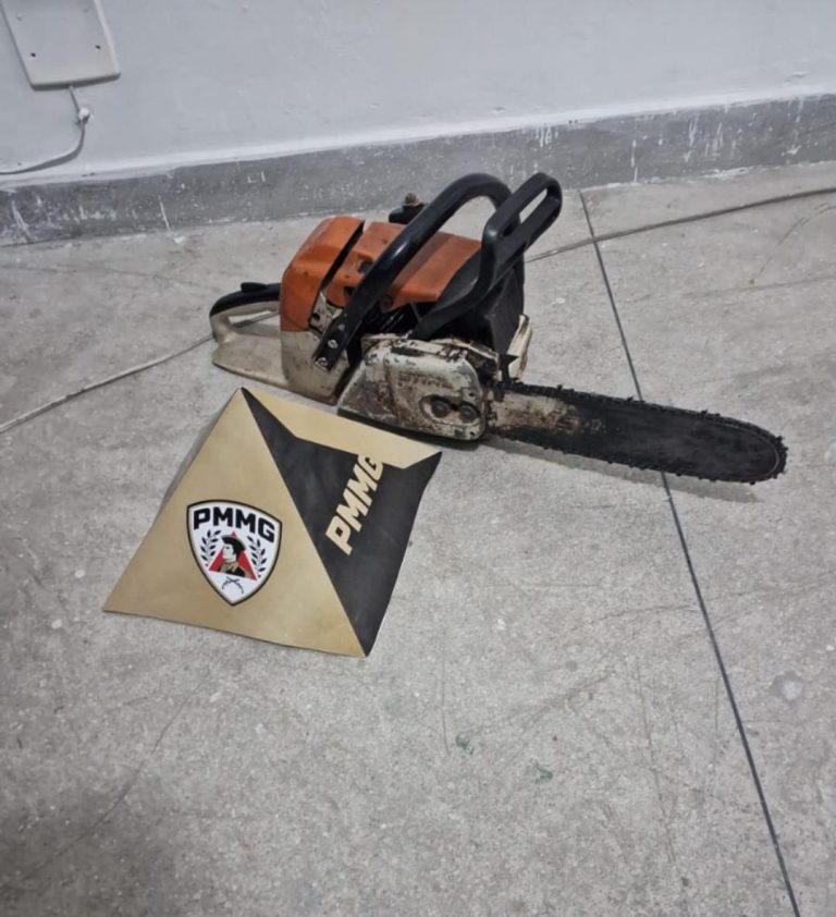Homem é preso durante fiscalização ambiental em área rural de Santos Dumont