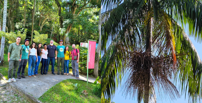 Jardim Botânico de Juiz de Fora abre inscrições para oficina de plantio