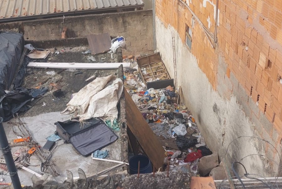 Oito cães são encontrados em ambiente insalubre no bairro São Judas Tadeu 2