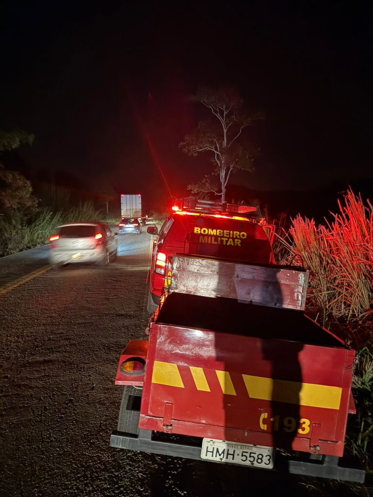 Suposta onça atropelada mobiliza buscas às margens da MG-353 em Piau 2