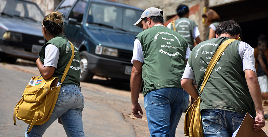 agentes endemias