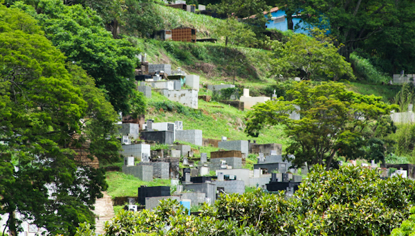 cemitério municipal de juiz de fora 3 - por jg