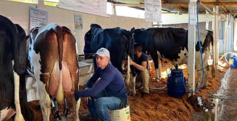 Expo Feira de Torreões celebra 40ª edição com shows, torneio leiteiro e programação até domingo