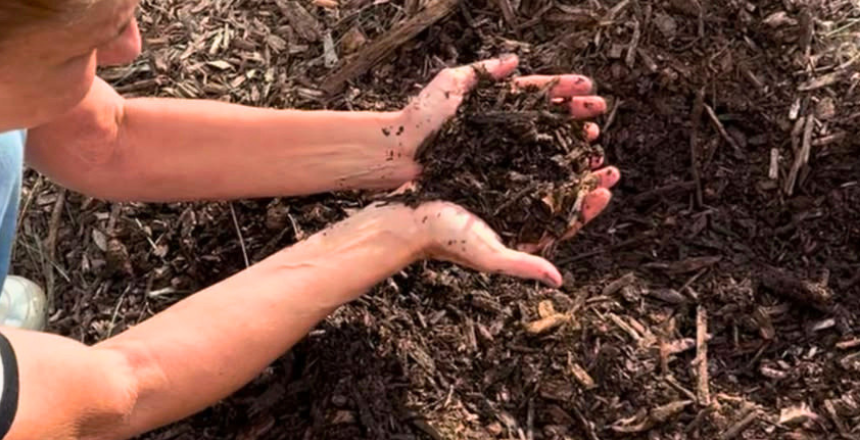 Programa Terra Boa distribui mais de 12 toneladas de composto orgânico no primeiro semestre