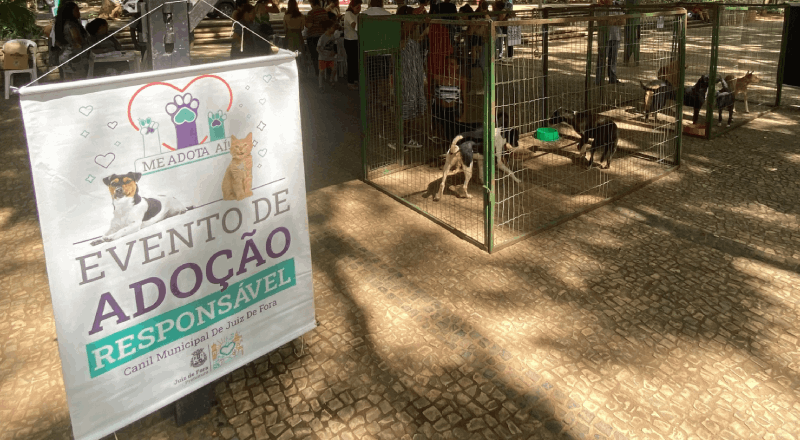 Sebeal realiza 25º evento de adoção responsável no Jardim Glória