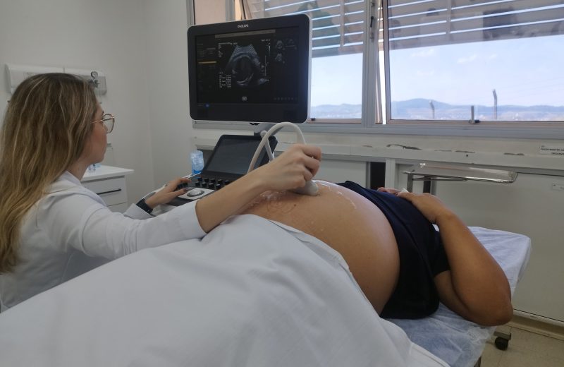 HU-UFJF alerta gestantes para riscos da toxoplasmose durante a gravidez