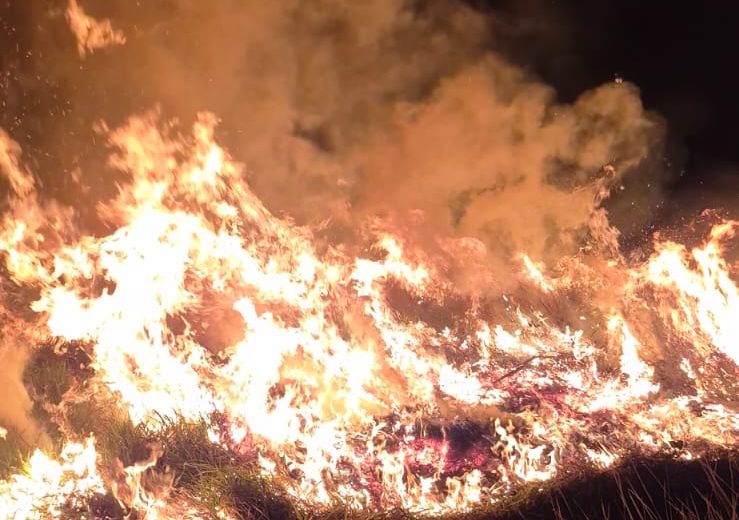 Incêndio em vegetação é controlado após uma hora de combate em Guarará