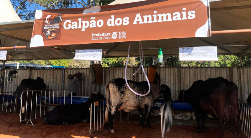 Torneio Leiteiro de Paula Lima volta após 20 anos em Juiz de Fora