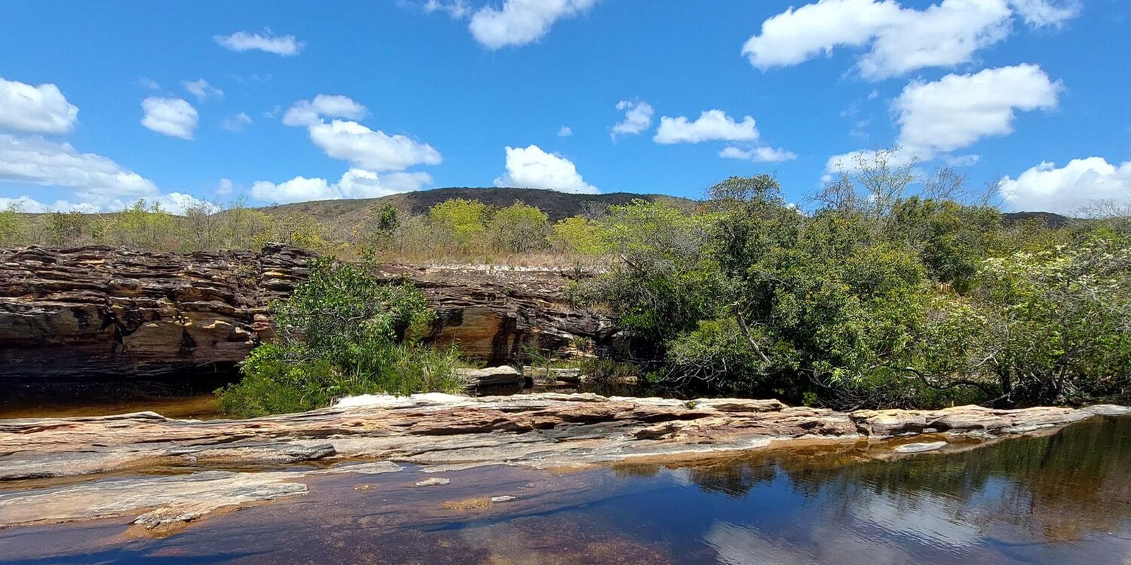 Pantanal: enfrentar mudanças climáticas depende de outros cinco biomas — Imagem: Agencia Brasil