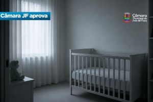 Câmara JF aprova – Ampliação das políticas de humanização do luto parental