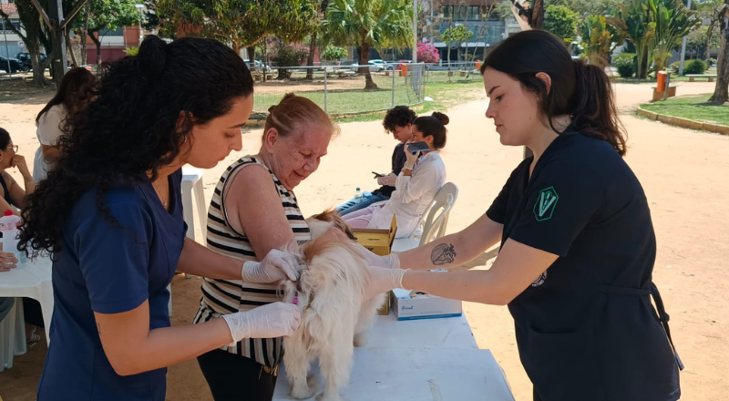 Campanha de vacinação antirrábica animal acontece neste sábado, 19, em 90 pontos da cidade
