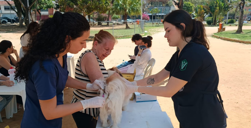 Campanha de vacinação antirrábica animal acontece neste sábado, 19, em 90 pontos da cidade — Imagem: Prefeitura de Juiz de Fora