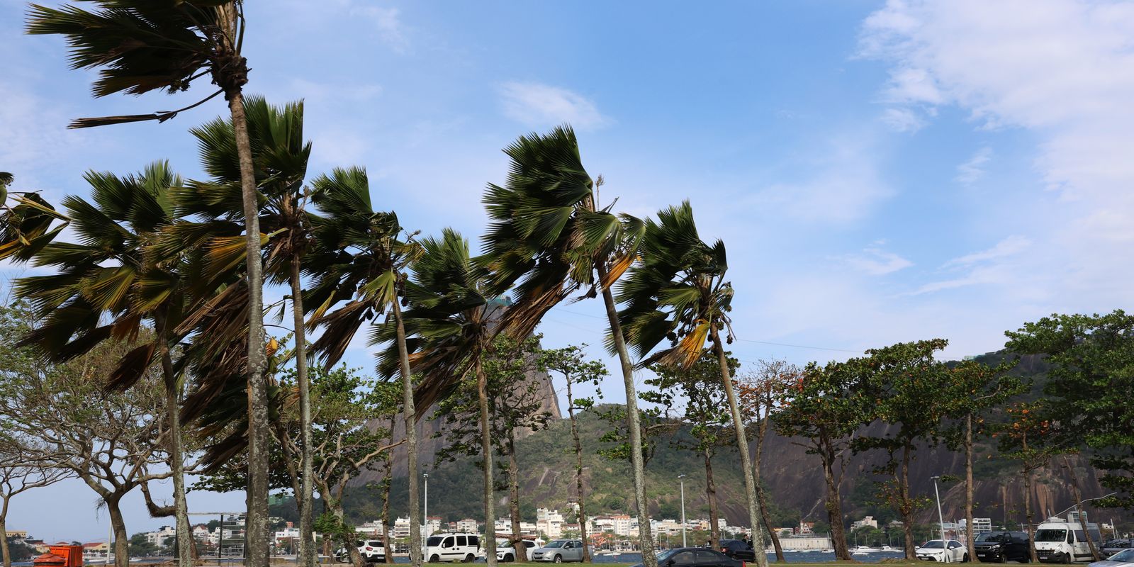 Defesa Civil alerta para ventos fortes na cidade do Rio — Imagem: Agencia Brasil