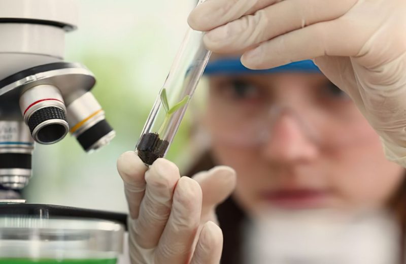 Imersão científica leva alunas e professoras a centros tecnológicos