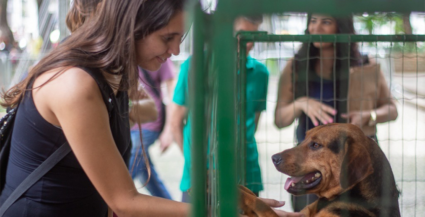 Parque Halfeld recebe 26º evento de adoção responsável da Sebeal neste sábado, 12 — Imagem: Prefeitura de Juiz de Fora