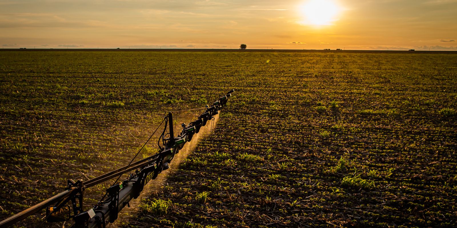 Seguro rural: novas regras ampliam cobertura e proteção ao produtor — Imagem: Agencia Brasil