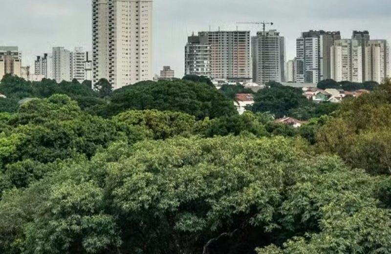 Criação de infraestrutura verde com corredores e bosques nos bairros