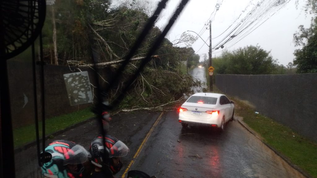Chuva forte derruba árvores, postes e telhado em Juiz de Fora