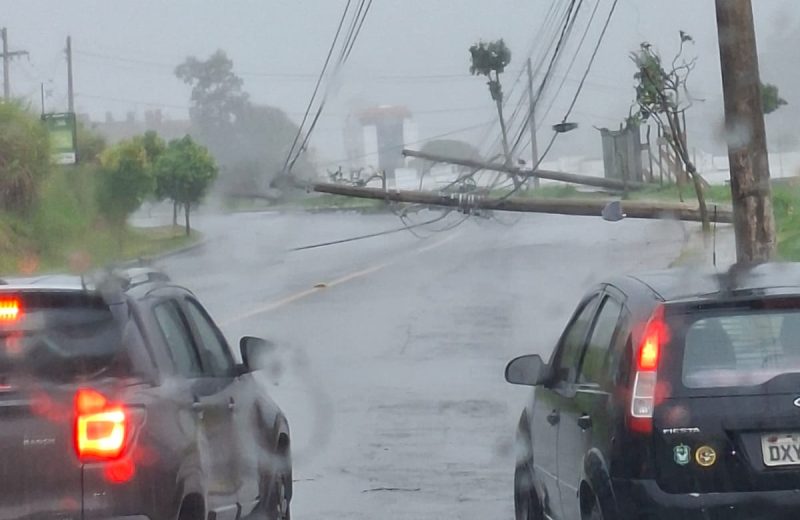 Chuva forte derruba árvores, postes e telhado em Juiz de Fora